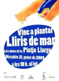 Plantació de Bulbs de Lliri de mar a les dunes de la Platja Llarga de Tarragona