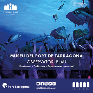 https://www.porttarragona.cat/ca/port-i-ciutat/museu-port