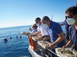 El Port col.loca biòtops a la punta del Miracle per afavorir la regeneració de la vida marina