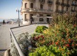 Tarragona enceta el primer concurs floral per a particulars, comerciants i restauradors