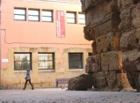 Tarragona serà l'epicentre internacional de l'arqueologia ambiental durant tres dies